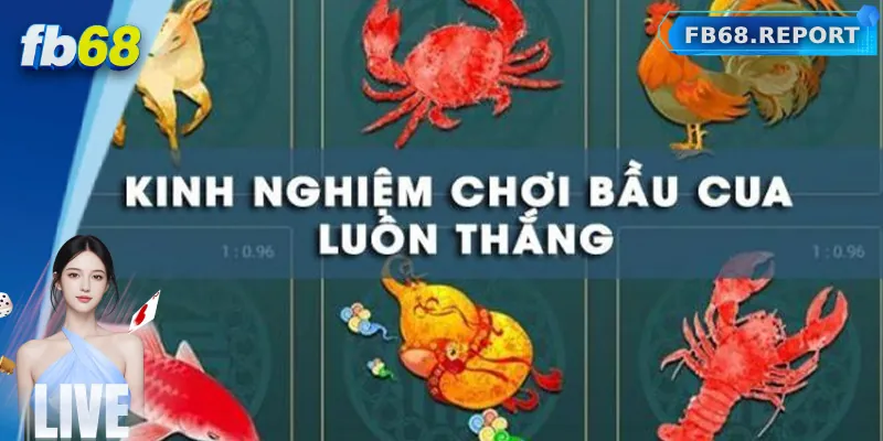 Những mẹo chơi bầu cua online hiệu quả