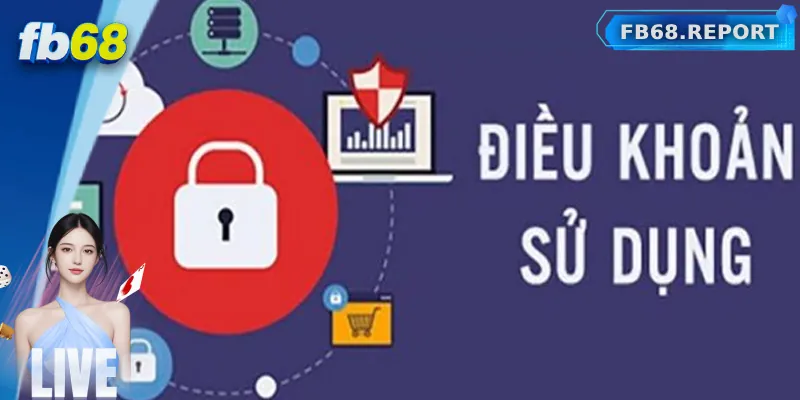 Nội dung cơ bản của chính sách điều khoản điều kiện FB68